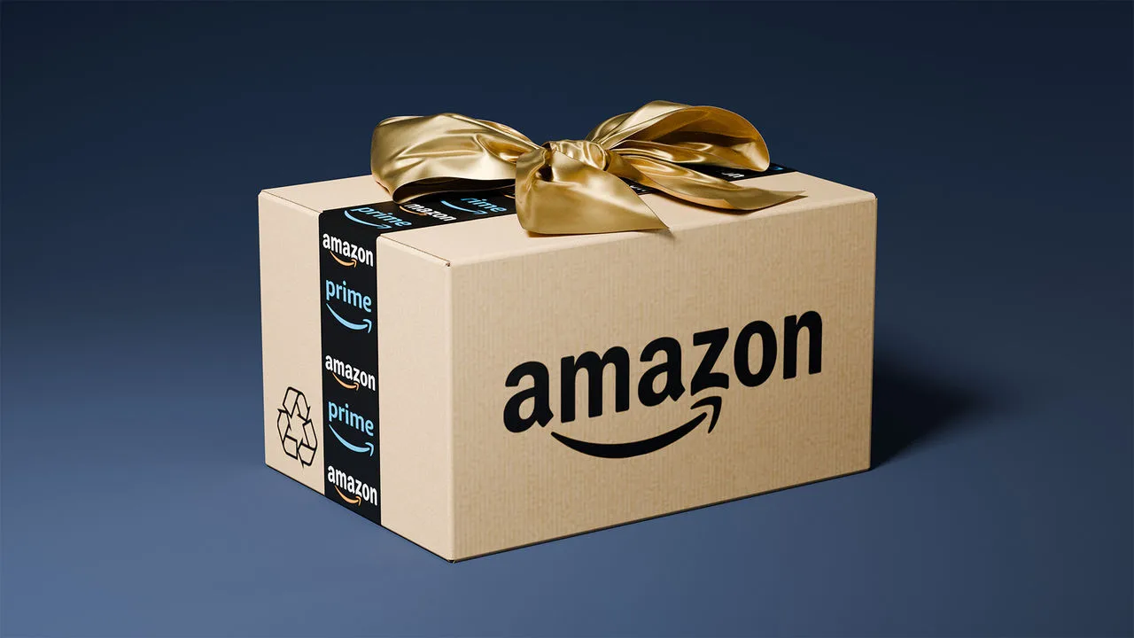 Scopri di più sull'articolo Amazon: a questi prezzi è un pacco?